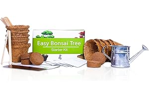 FENG SHUI GIFT SHOP Grow Your Own Bonsai kit – Easily Grow 5 Types of Bonsai Trees with Our Complete Beginner Friendly Bonsai Seeds Starter kit – Unique Seed Kit Gift idea