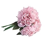 24k fresco vivas caja regalo madre novia esposa el valentín navidad fiestas doradas wisteria compromiso románticos confeti por chapada amor valentín aniversario amigos como un ramo cabezas margarita jardín casa rosa