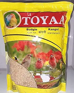 Toya Bird Food for Bird Pack of 500gm