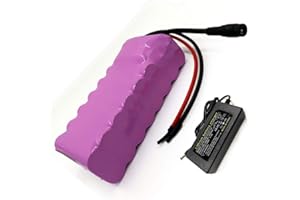 SEILYLANKA with Charger 7Ah 6S2P 24V Battery e-Bike ebike Electric Bicycle Li-ion Customizable 136x72x40mm