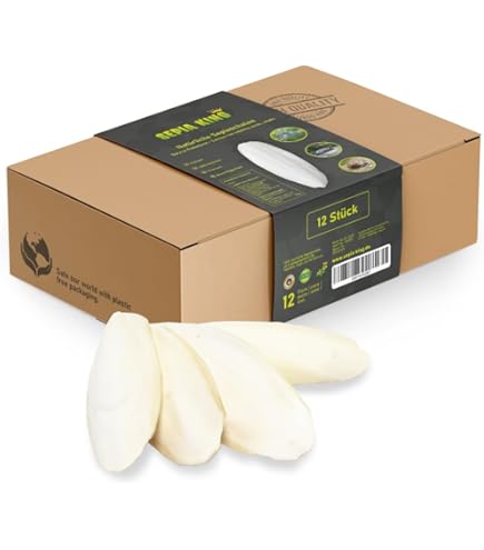 Lasama Sepia-Schalen Bruch 100g - Natürliche Calciumquelle Für Reptilien