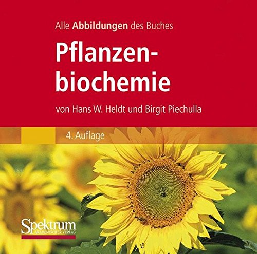 Preisvergleich Produktbild Die Abbildungen des Buches "Pflanzenbiochemie"