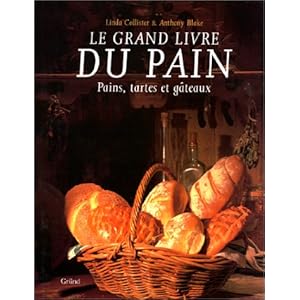 Le grand livre du pain : Pains, tartes et gâteaux Livre en Ligne - Telecharger Ebook