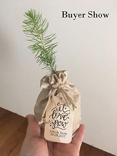 DIKETE® 30 stück Jute Sack Beutel Leinen Jute Beutel Schmuck Säckchen mit Zugband Sackleinen Tasche Geschenksäckchen für Hochzeitsfeier und DIY Handwerk,9.5×12.5cm - 5