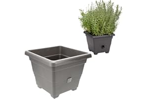 ‎PLASTIA Plastia Pflanzkübel Bergamot 35x35 cm anthrazit