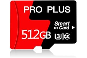 HYZEZTRX 512 Go Carte mémoire Micro SD Classe 10 Haute Vitesse pour Smartphone, appareils de Jeu Portables et Drone (512 Go)