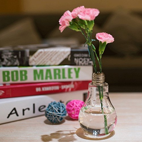 Da.Wa Glasvase in Form einer Glühbirne Blumenvase Pflanzen Micro Landschaft Eco Transparent Bottle,12 x 8 cm - 2