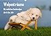 Produktbild Welpenträume - Mit niedlichen Hundewelpen durch das Jahr (Wandkalender 2017 DIN A3 quer): Niedliche Welpen, schlafend und im Traum versunken, ... (Monatskalender, 14 Seiten ) (CALVENDO Tiere)