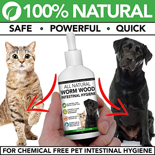 Tratamiento completamente natural para lombrices en perros y gatos