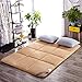 Produktbild EEvER Schlafmatte Bequeme Matratze Dünne zusammenklappbare Plüsch Tatami-Fußmatte, Matratze Hüte Königin-König-Wohnheim Student Bodentemperatur Isolation-A 100x200cm (39x79 Zoll)