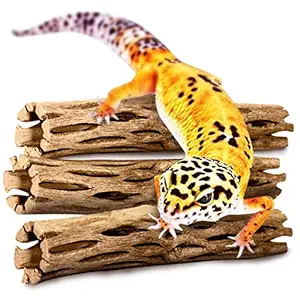 SunGrow Leopard Gecko Cholla Wood, 5 Inches Long, Create Basking Spot, Creative Addition to DIY Home Crafts, Lizards and Bearded Dragons, 3-Pack