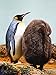 Produktbild Artland Wandbilder selbstklebend aus Vliesstoff oder Vinyl-Folie Elke Schmid-Neebe Königspinguin mit Jungtier Tiere Vögel Pinguin Fotografie Braun C7SF