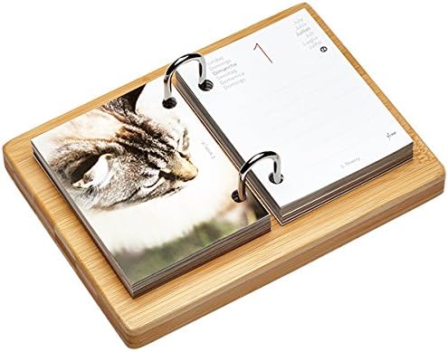 La carterie SAS 71009019 Box Calendar éphéméride Cats