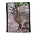 Produktbild Portemonnaie Geldbörse Brieftasche // F00002238 Hase braun Hase Lepus europaeus Islay // Small Size Wallet