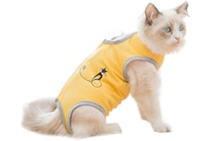 BT Bear Cats Professional After Surgery Recovery Suit, Cat Clothes for Abdominal Wounds Skin Diseases,E-Collar Alternative for Cats Pupy Small Dogs (XL)