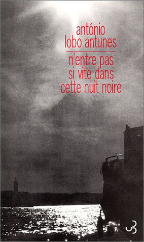 couverture de : N'entre pas si vite dans cette nuit noire