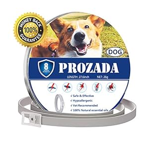 PROZADA Natural Collar Antiparasitario para Perros (8 Meses) Prevención de Pulgas y Garrapatas – con Extractos de Plantas de Aceites Esenciales – Hipoalergénico Talla única para Todos los Perros (1)
