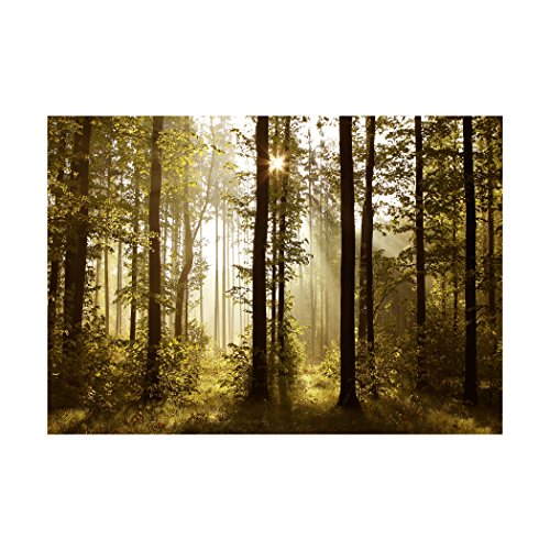 Fototapete Wald grün 350×245 cm XXL !  PREMIUM VLIES TAPETE – PROFI QUALITÄT (Keine Papiertapete, keine Blasenbildung) – Top moderne Wanddeko – Fototapete 3D Illusion – Riesen Wandbild – Top Design Tapete – Neue exklusvie Edition mit noch besser Druckauflösung – Deutsches Premium Vlies (Kein Import Vlies oder PVC), Schlafzimmer, Wohnzimmer, Kinderzimmer geeignet | modern Fototapeten Wandtapete Landschaft Baum Bäume Natur FOB0238a73XL - 4