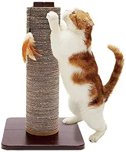 Emily Pets Cat Claws Nobody Cardboard Cardboard Nail Sharpener Give Nobody Toy with Stylish Cute Pole Tower