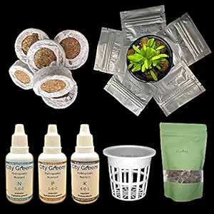 City Greens Seed Starter Kit for 15 Plants (Seeds, Cocopeat, Clay Pebbles, Net Pots, Instruction Set, Nutrient Enriched, Neem Oil Treated)