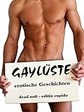 Cover zum Buch Gaylüste