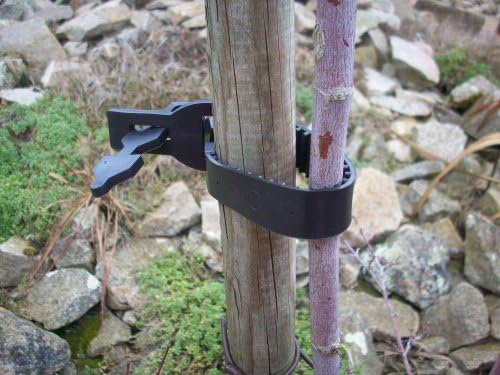 Vilmorin Terlia rubber strap (30 CM)