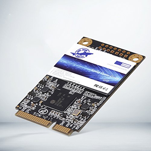 Dogfish Msata 480GB Unidad de Estado S  lido Interna Mini Sata SSD Disk  480GB 