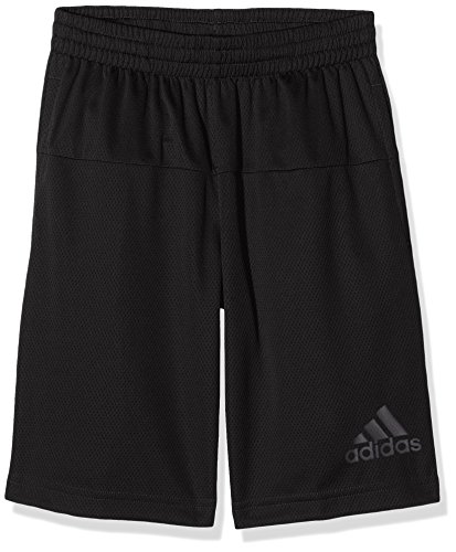 adidas Jungen Gym Horizon Shorts