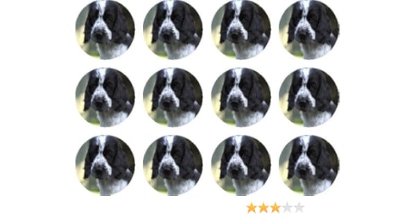 The Lazy Cow Cocker Spaniel St Pep Edible Cake Toppers 12 Of 38mm 1 5inch 78 Amazon Co Uk Kitchen Home