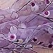 1M*2M Romantic Curtains Voile Tulle Flower Door Valances Panel Window Balcony for Home Decor (Purple)
