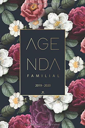 Télécharger Agenda Familial 2019 2020: Agenda de poche, Planner, Agenda Semainier 2019-2020 pour 4 membres de la livre En ligne