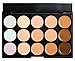 LyDia 15 Colours Cream Concealer/Highlight/Face Contour Camouflage Palette Dull/Redness Skin/Black Circle kit set + LyDia Black Foundation/Concealer Brush F-010