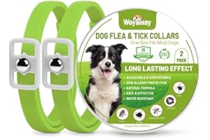 Woyamay Collier Anti Puces pour Chat, 4 Pièces Collier Chat Anti Puces et Tiques Réglable, 8 Mois de Protection Naturelle Collier Anti Tique Chat Résistant à l'eau pour Chatons Moyens à Grands, Rose