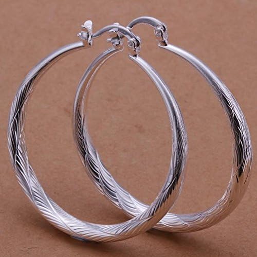 Round Large Fish Pattern Earrings - Small Fashion Silver Ornaments Round Earrings Ladies / Stainless Steel / Anti-allergy / Silver Flashing / Small and Exquisite,Figure