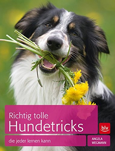 Download Richtig tolle Hundetricks: die jeder lernen kann