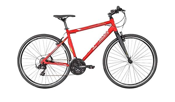 montra trance pro 2019