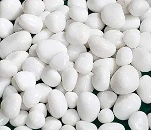 Bum Bum Bhole Double Polished Supper White Pebbles for Garden & Home D?cor /Indoor Fish Tank/Aquarium Substrate Garden|Decoration|Indoor Plants|Terrarium | Garden Decoration | Polished White Pebbles Pebbles for Garden Pots & Multi Purpose Pack 4990gm