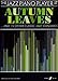 Produktbild The Autumn Leaves: (piano/CD) (Jazz Piano Player)