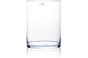 Sandra Rich Glasvase CYLI H. 20cm D. 15cm Dekoglas Zylinder