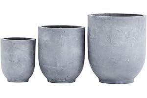 House Doctor 208820101 Plantas Gris