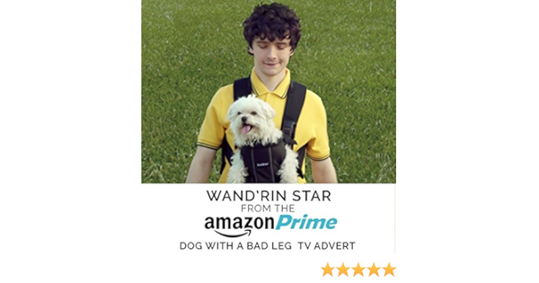dog tv amazon