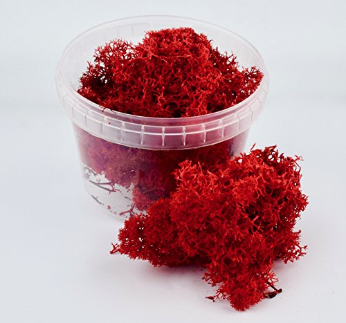 WWG Liquen apocalíptico Rojo 500ml - Miniaturas, Modelismo, Wargaming