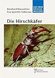 Image de Die Hirschkäfer oder Schröter. Lucanidae