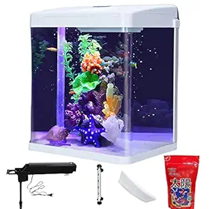 Despacito Fish Tank 32 Litre Aquarium for Home Big Size with led Light, Filter Sponge and inbuilt Pump (Fish Tank Size: 39x24x37cm-color May Vary)