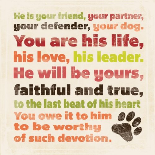 Blue-Fox-Devotion-Your-Dog-Wood-Plaque