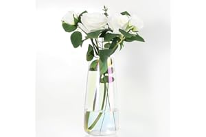 HYCKee Glass Flower Vase for Décor, Clear Vase for flower Table Modern Vases for Living Room,Dinning Table,Entryway Centerpieces 22cm Large Flower Vase (Iridescent)