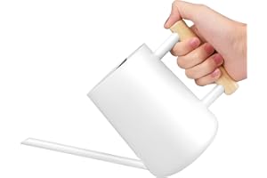 UENNM Regadera de 1 L, para plantas de interior, acero inoxidable, caño largo, regadera para suculentas, regadera con mango cómodo, rociador de jardín, regadera vintage para balcón, oficina, salón