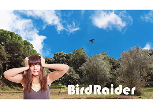 BirdRaider Espantapájaros Cometa Halcón Kit Completo con Mástil 6 MTS Profesional