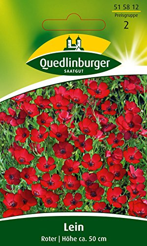 Preisvergleich Produktbild Lein Roter QLB Basis Saatgut Blumen einjährig (Liefermenge=4)
