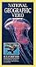Produktbild Jellies & Other Ocean Drifters [VHS]